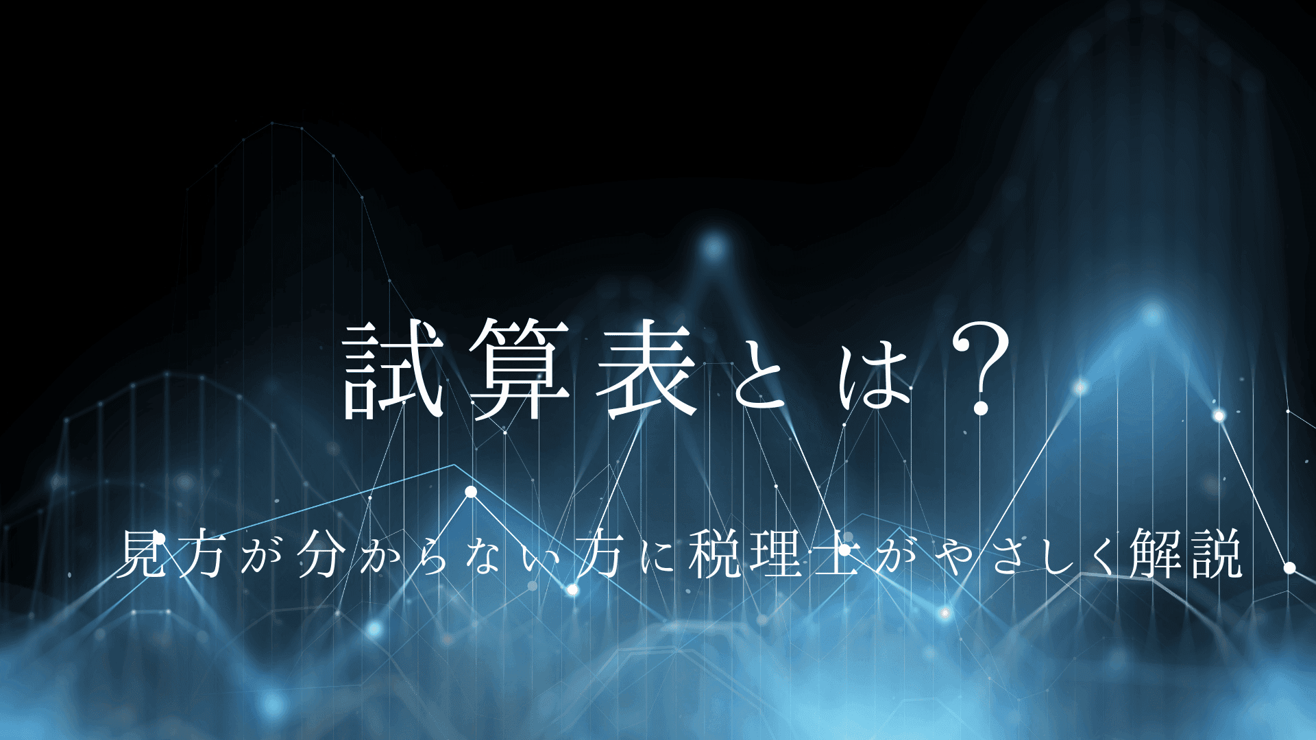 試算表とは?見方が分からない方に税理士がやさしく解説 | ブログ